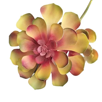 Simulované rastlín Echeveria purpusorum umelé sukulentných rastlín Bonsai Náhodné rôzne Bez kvetináč